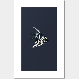 Marble Angelfish Posters and Art